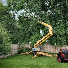 Mulching Services in Hampton, MD