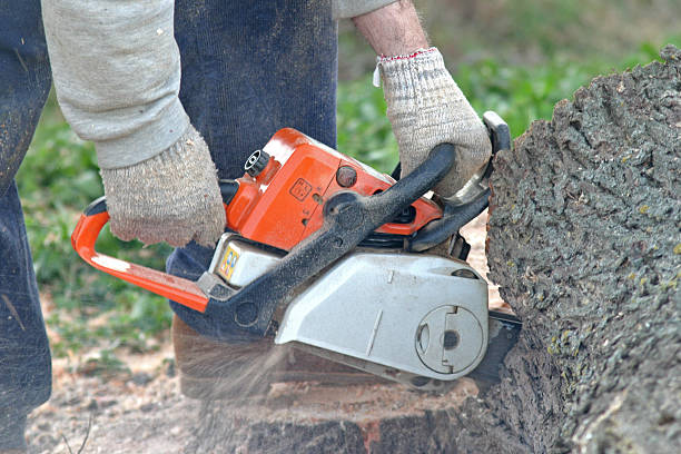 Best Lawn Mowing  in Hampton, MD